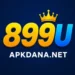 899u game download logo